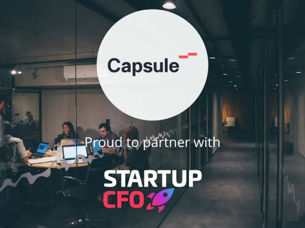 Startup CFO 1