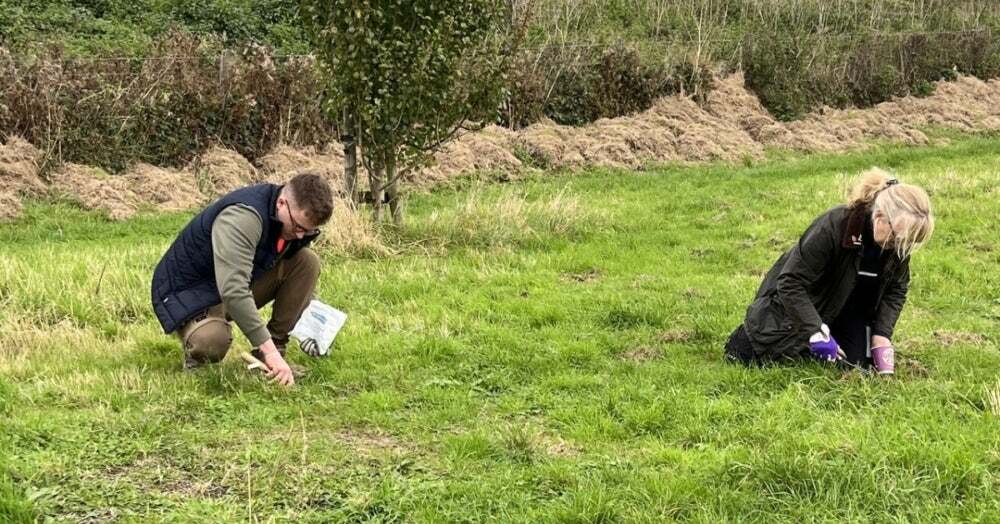 Volunteering blog image 4