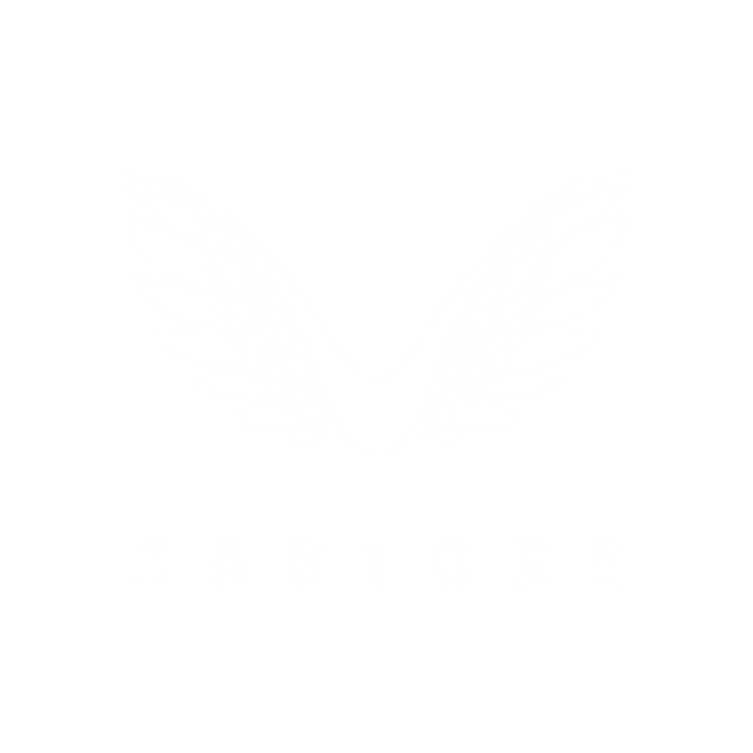 Castore logo (1)