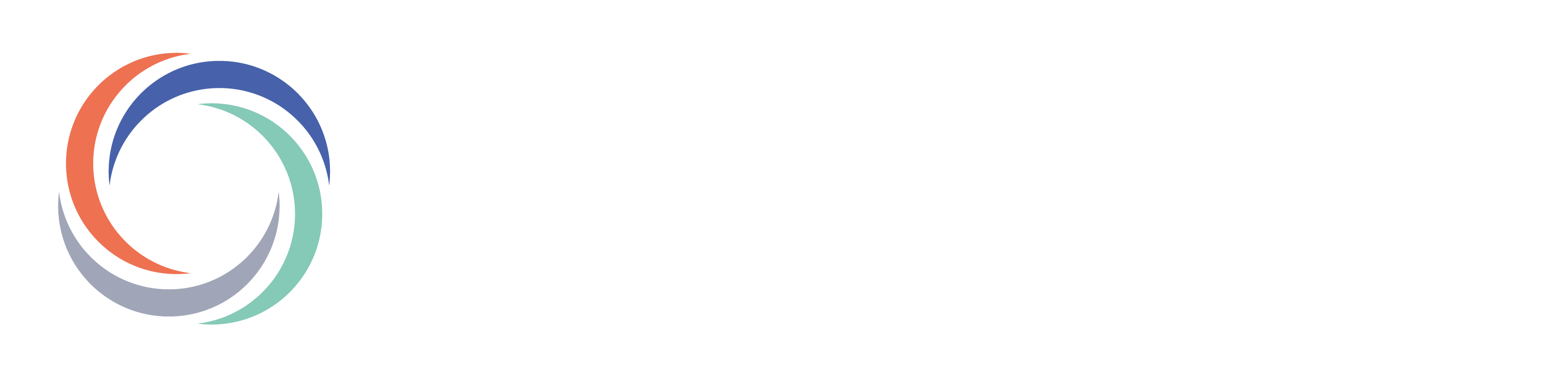 Cyberfort-Logo2-mix