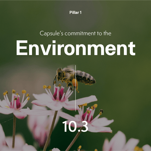 Impact Report 2025 graphics_IR_Web_Pillar 1-25