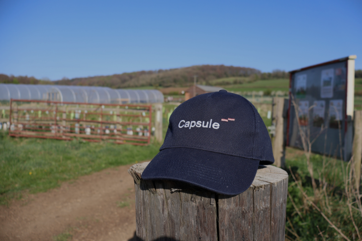 2025 Impact Report CTA image