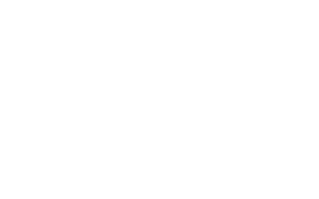 logo-bloom-and-wild_white