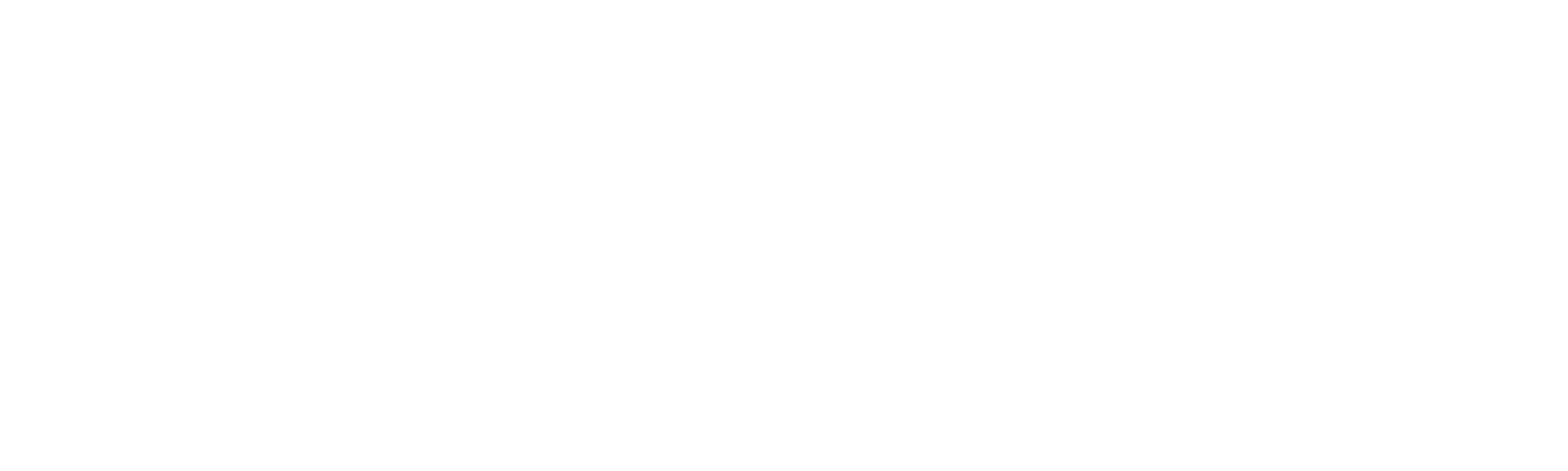 what3words logo_white