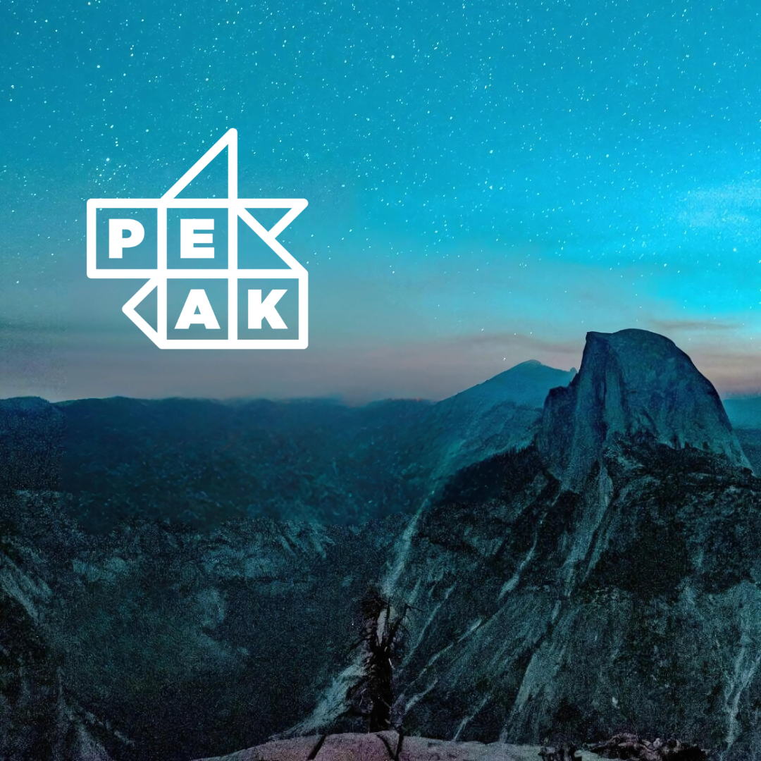 Peak AI Case Study