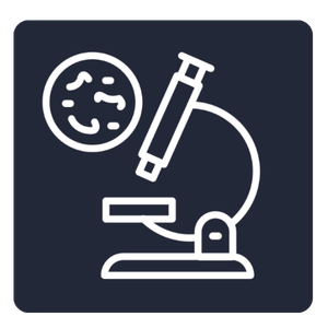 webpages (300 x 300 px) (97)